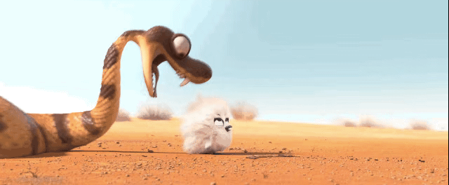 微信图片_4.gif
